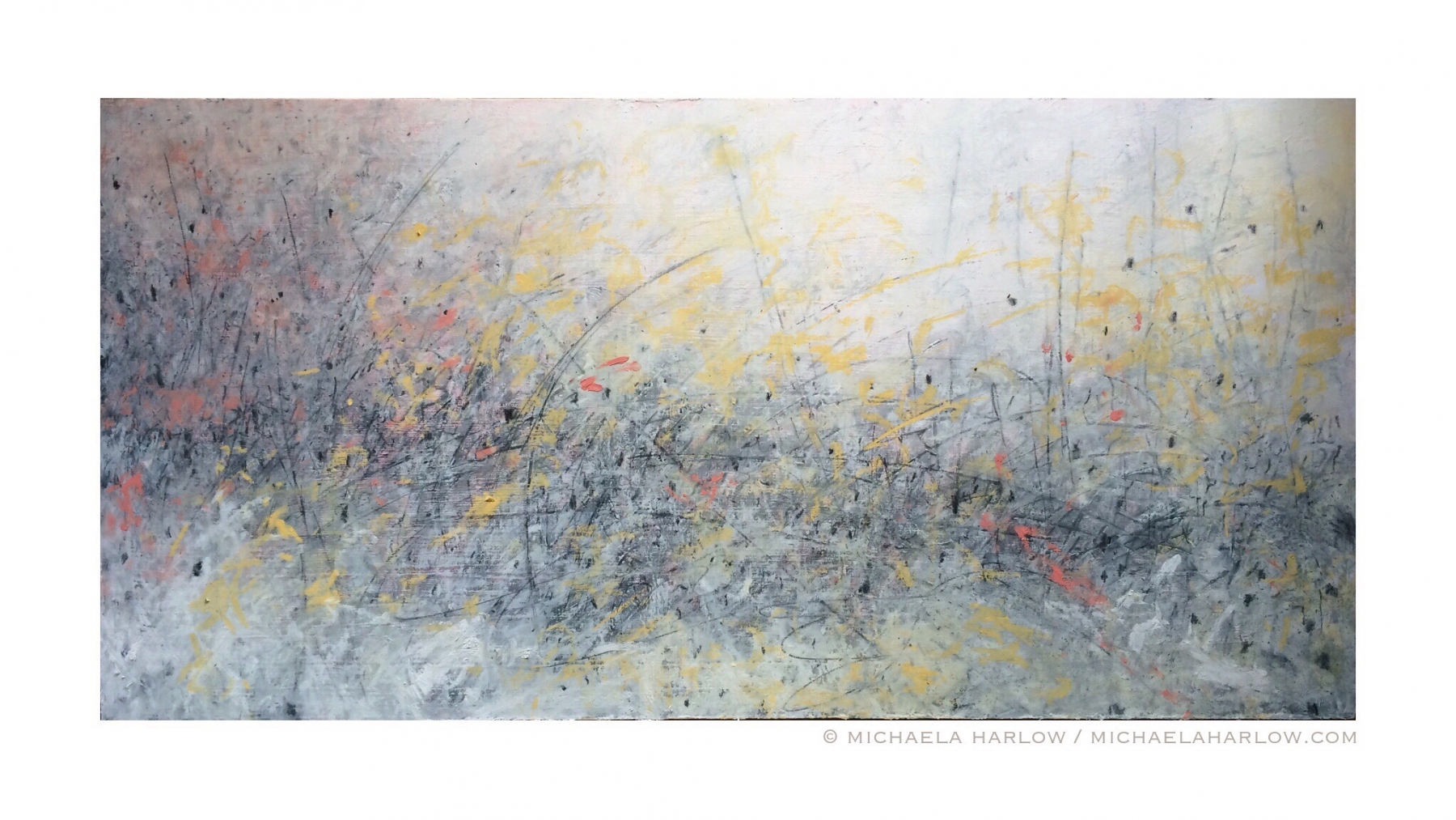 Michaela_Harlow_Field_Notes_From_November_2015_Oil_and_Graphite_on_Wood_Panel_24_by_48