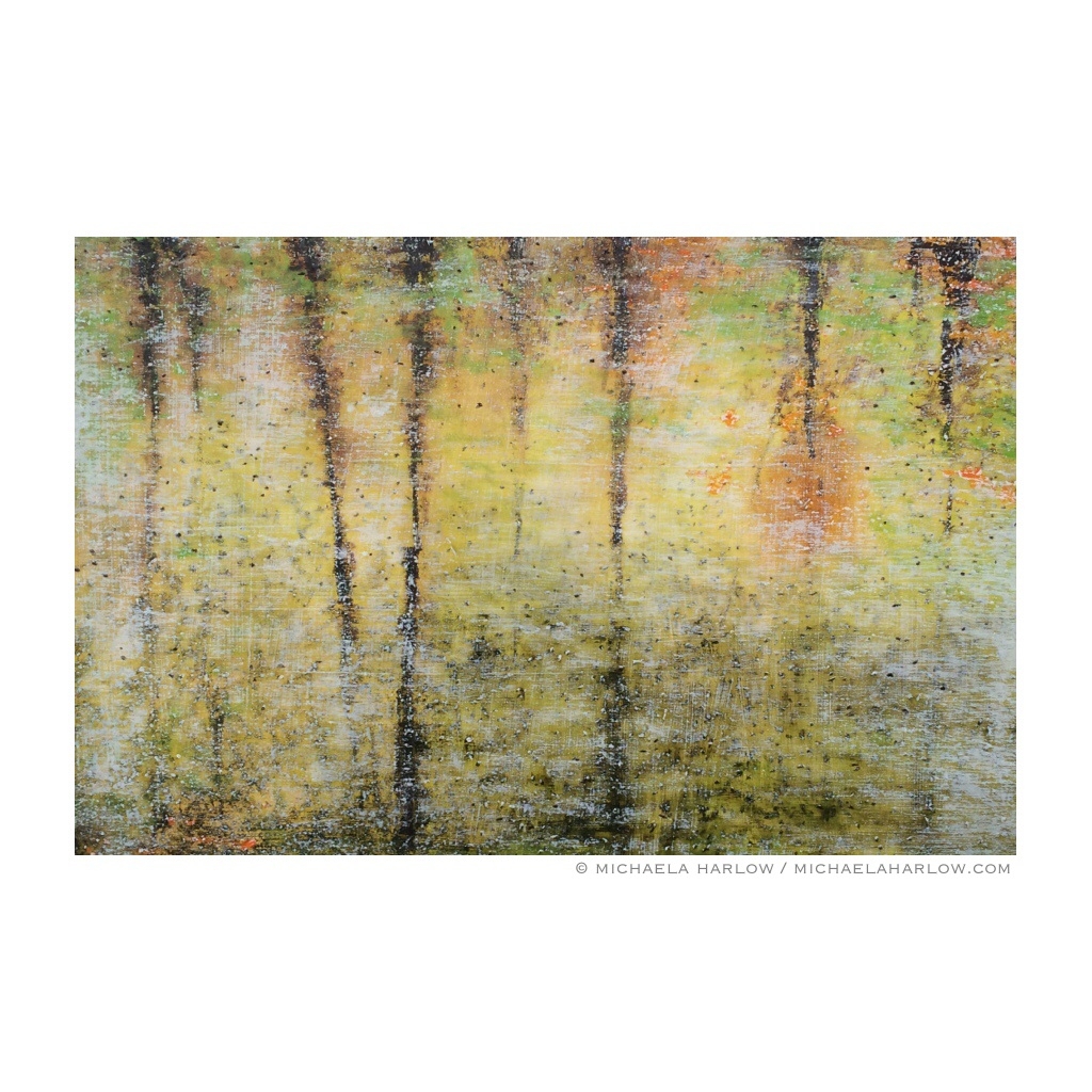 What Would the Brook Trout Say?, 2015. Oil on Wood Panel.