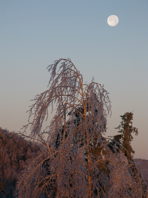 ice-storm-morning-one-3.jpg