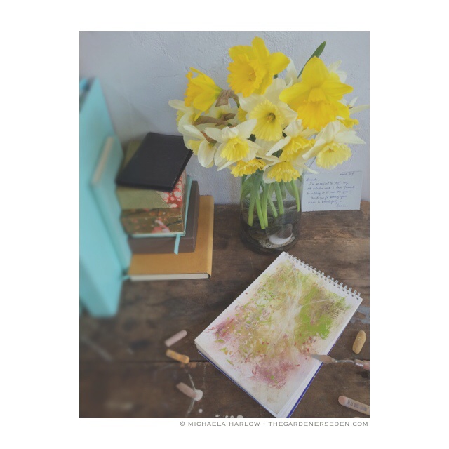 daffodil-days-studio-work-michaelaharlow.com_.jpg